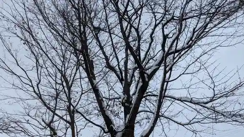 龍王神社の自然