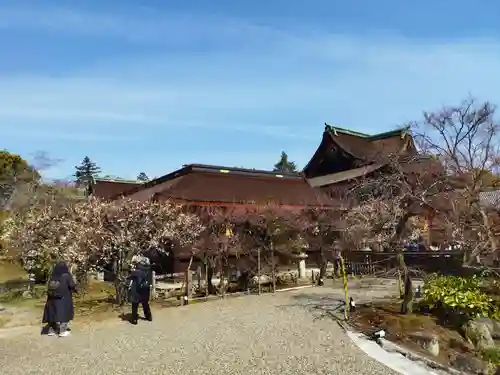 北野天満宮(京都府)