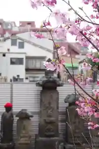 福王山 慈眼寺(東京都)(2026年03月19日(木) 09時37分41秒投稿)