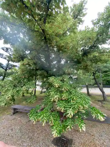 法華寺(奈良県)