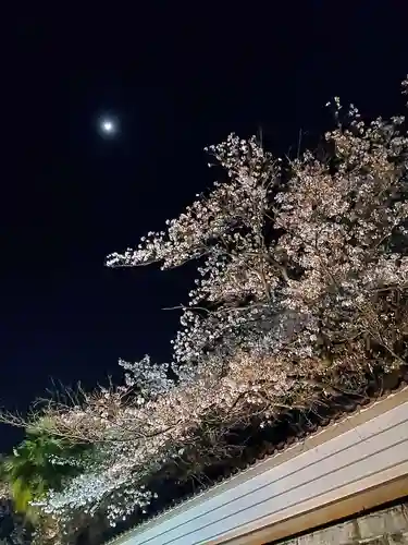 如宝寺(福島県)