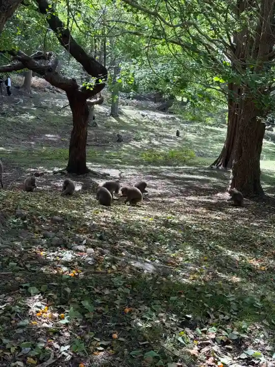 金華山黄金山神社(宮城県)