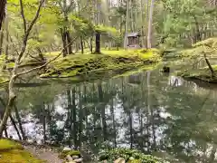 西芳寺の庭園