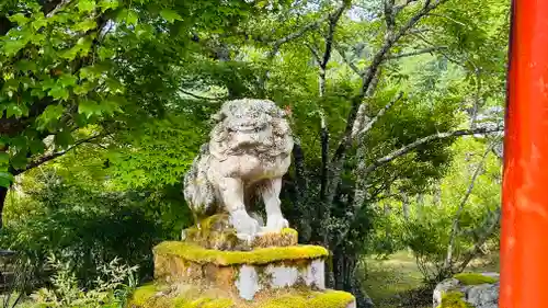 岡安神社の狛犬