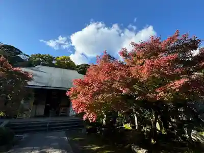 伊勢の国 四天王寺(三重県)