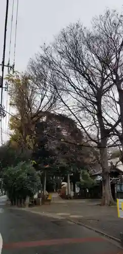 諏方神社の鳥居