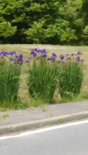 高司神社〜むすびの神の鎮まる社〜(福島県)