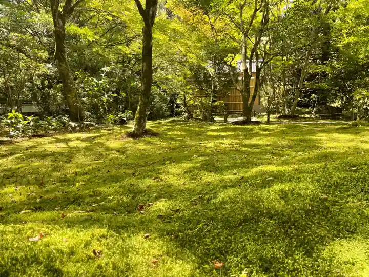 西芳寺(京都府)