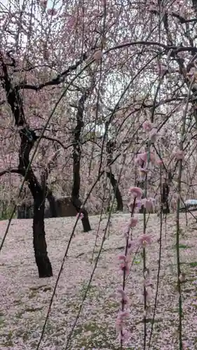 城南宮(京都府)