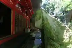 日枝神社の自然