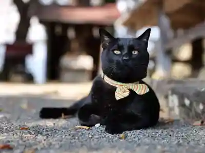 高司神社〜むすびの神の鎮まる社〜(福島県)