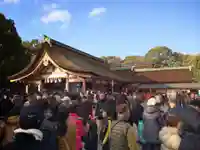 津島神社の初詣