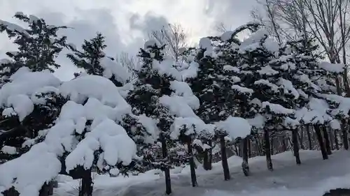 神居神社の自然