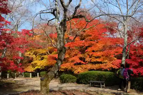 勝持寺（花の寺）(京都府)