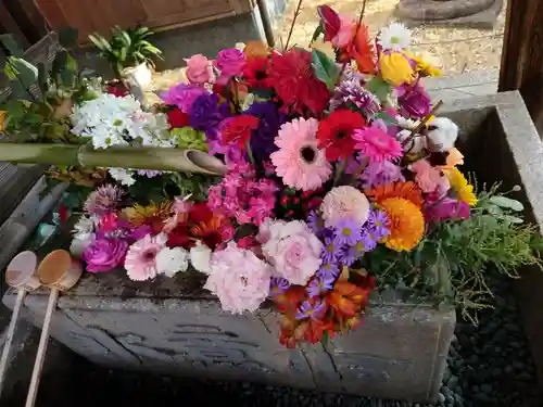 勝林寺(京都府)