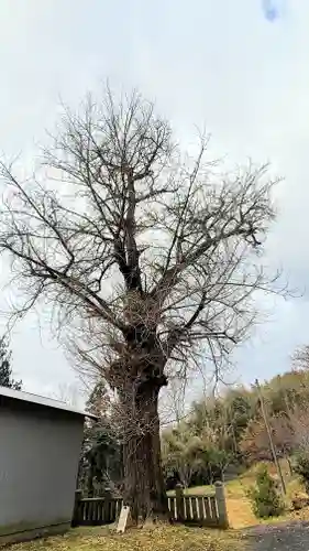八幡神社(徳島県)