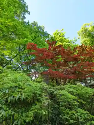 長岡天満宮(京都府)