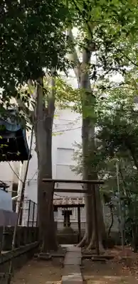 小岩神社の鳥居