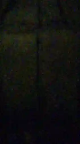 沖ノ島宇賀大明神社(千葉県)