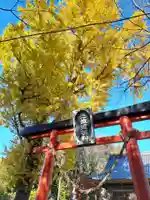 佐倍乃神社の鳥居