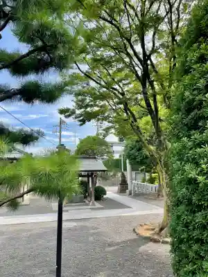 大棚・中川杉山神社(神奈川県)