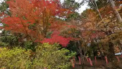 毘沙門堂門跡(京都府)