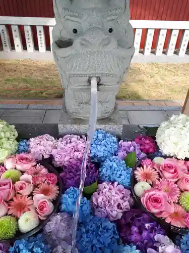 新川皇大神社の手水舎