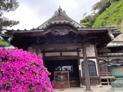 安養院　(田代寺）(神奈川県)