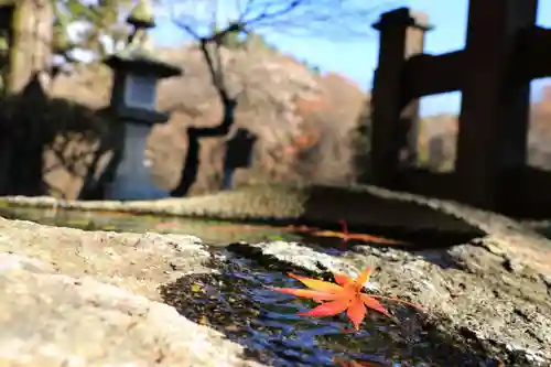 鹿島大神宮の手水舎