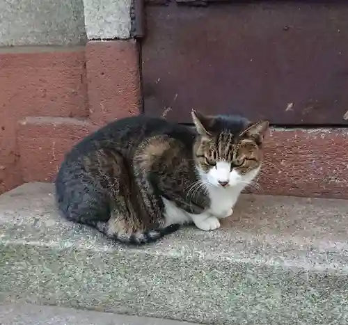 小野照崎神社の動物