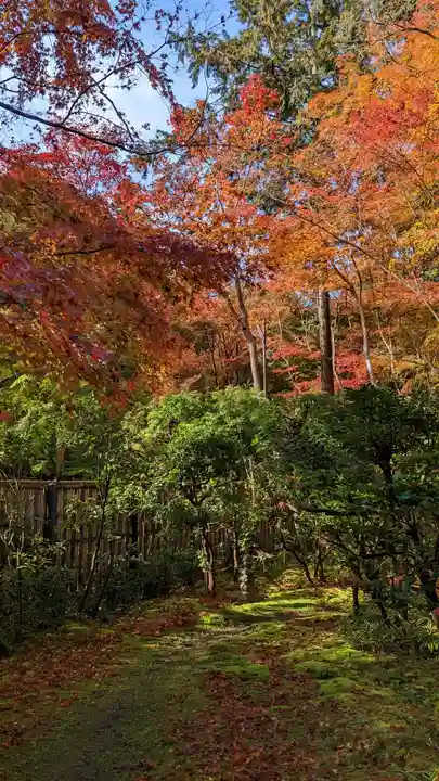 来迎院(京都府)
