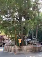 大神神社(奈良県)