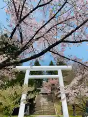 土津神社｜こどもと出世の神さまの鳥居