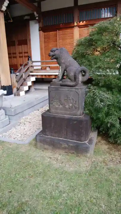 天現寺の狛犬