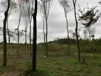 青龍大権現(千葉県)