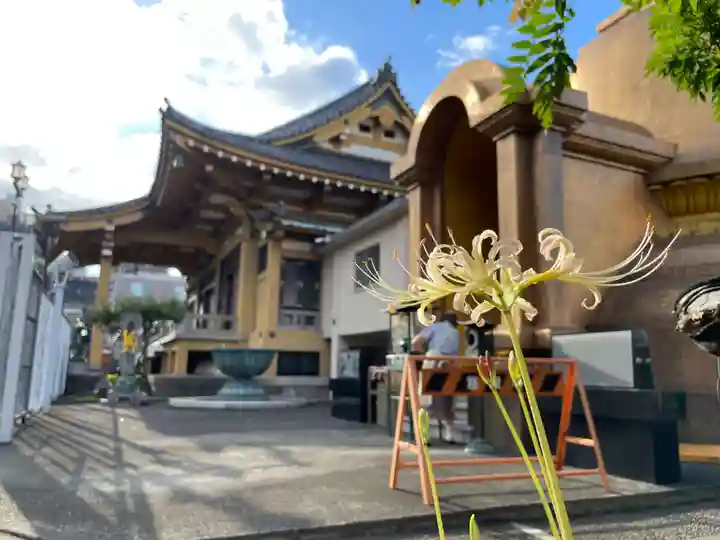 福王山 慈眼寺の自然