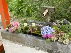 野島神社(宮崎県)