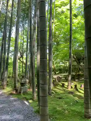 圓光寺のその他建物