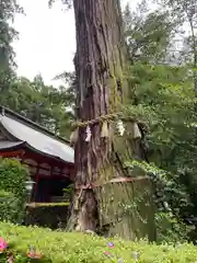 香取神宮(千葉県)