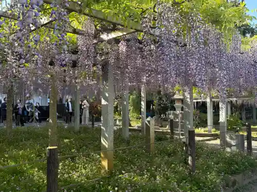 三大神社の{uncategorized: "未分類", other: "その他", undefined: "問題あり", building: "その他建物", grave: "お墓", sacred_gate: "鳥居", guardian: "狛犬", statue: "像", buddha: "仏像", history: "歴史", nature: "自然", garden: "庭園", animal: "動物", pagoda: "塔", temizu: "手水舎", mountain_gate: "山門・神門", sanctuary: "本殿・本堂", subordinate: "末社・摂社", art: "芸術", scenery: "景色", jizo: "地蔵", ema: "絵馬", goshuin: "御朱印", omikuji: "おみくじ", items: "授与品その他", amulet: "お守り", goshuincho: "御朱印帳", eats: "食事", festival: "お祭り", votive_dance: "神楽", shichigosan: "七五三参", wedding: "結婚式", experience: "体験その他", initially: "初詣", around: "周辺", anti_infection: "感染症対策"}