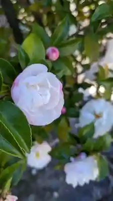 佛光院(仏光院)(京都府)