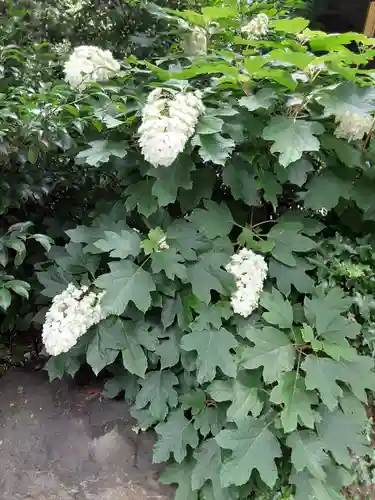 阿佐ヶ谷神明宮の庭園