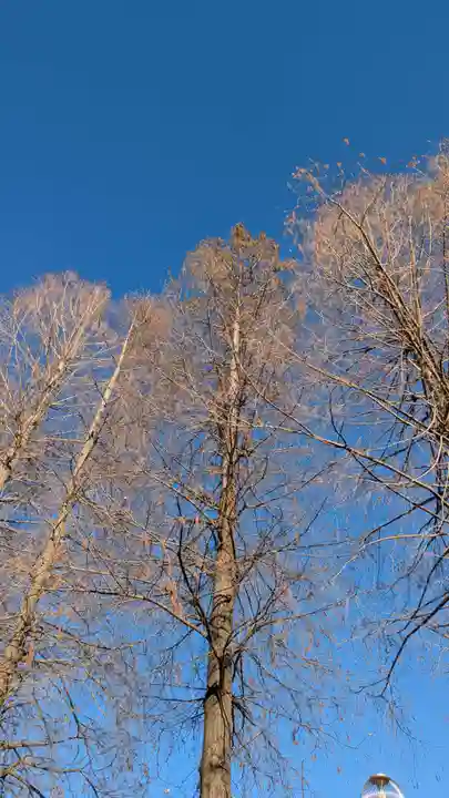 別所沼弁財天の自然