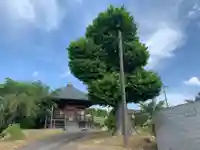 円徳寺(千葉県)