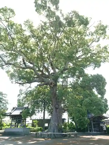 玉林寺のその他建物