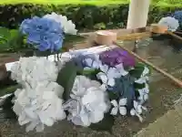 屋久島大社の手水舎