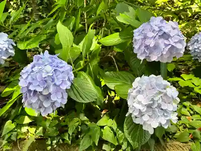 酒列磯前神社(茨城県)
