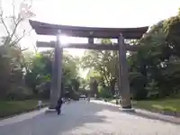 明治神宮の鳥居