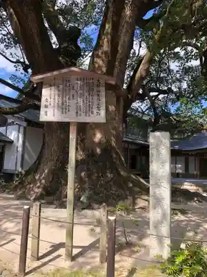 太宰府天満宮の歴史