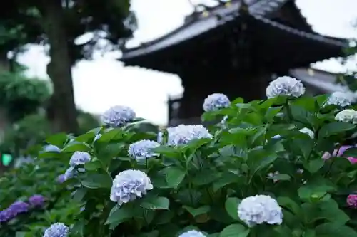 白山神社の自然